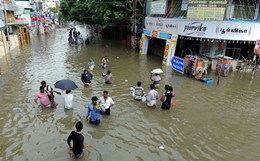 Resilience and Sustainability of Cities